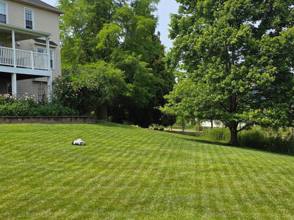 Titan-100 Robotic Lawn Mower