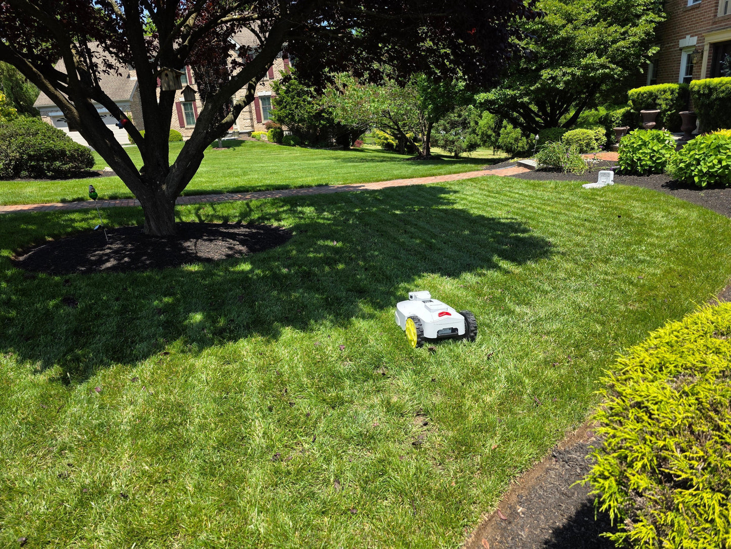 Titan-100 Robotic Lawn Mower